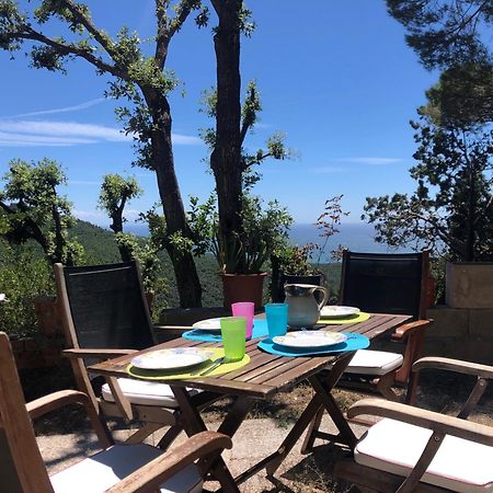 Villa Erika Montenero  ภายนอก รูปภาพ