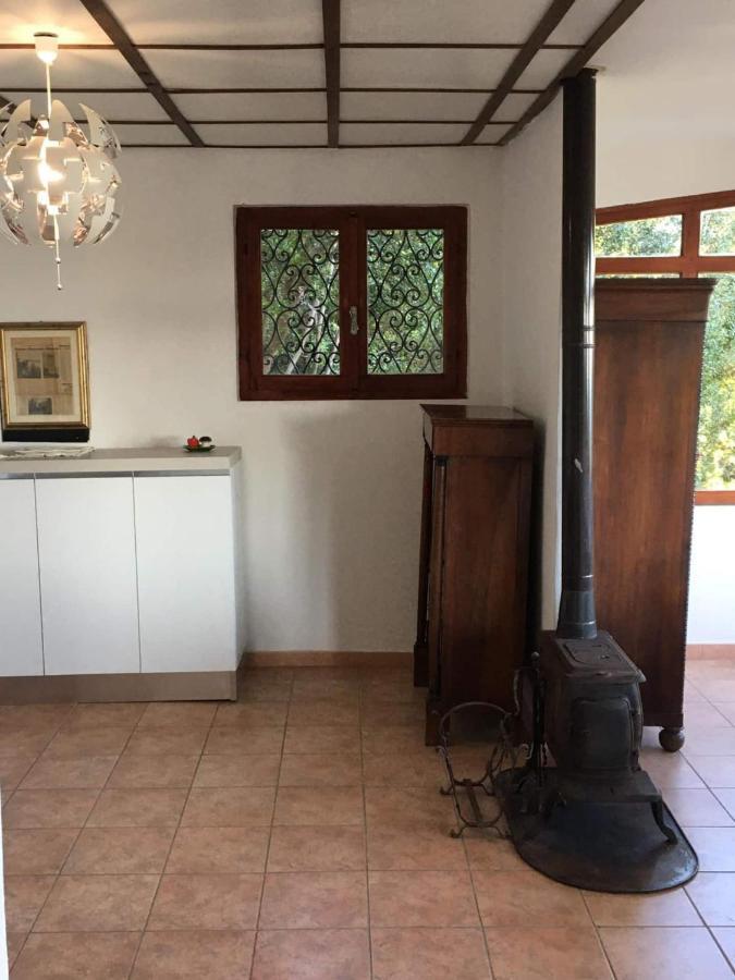 Villa Erika Montenero  ภายนอก รูปภาพ